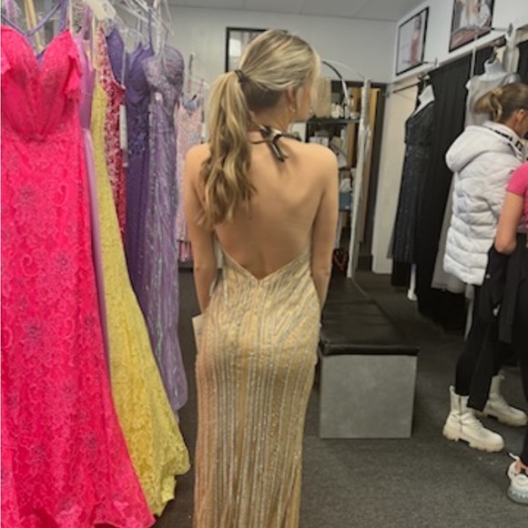 RACHEL ALLAN prom dress new with tags - Picture 2 of 5